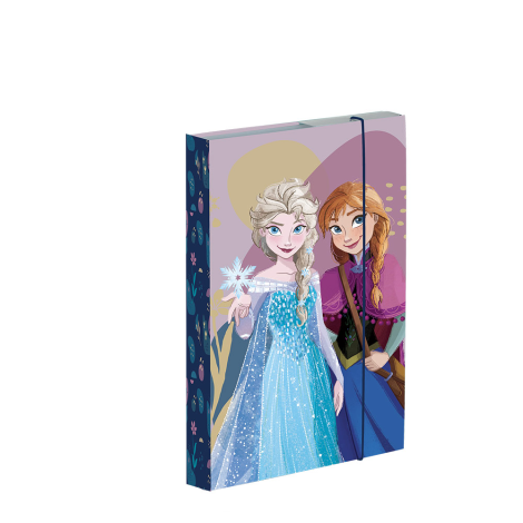 Notebook doboz PP A5 Frozen